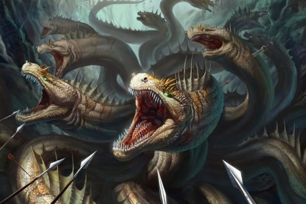 Kraken 11at