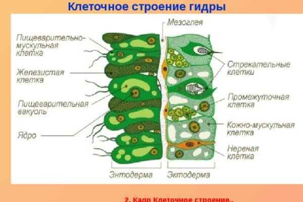 Кракен стор