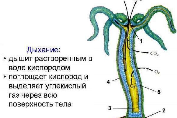 Кракен магазин наркотиков