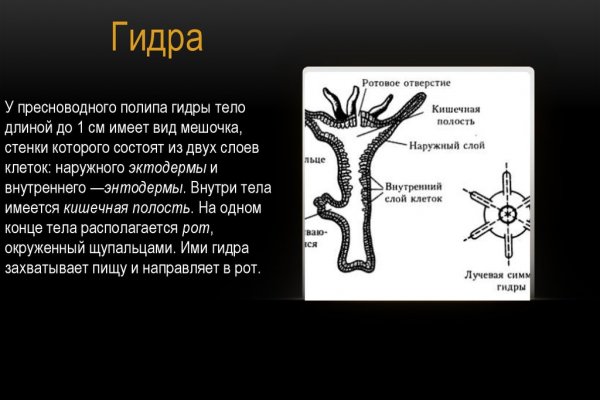 Кракен сайт 2krnk biz