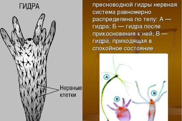 Кракен рабочая ссылка на сайт